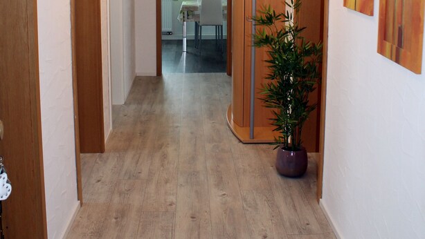 Ein Korridor mit Holzboden, einem Blumentopf und Türen zu anderen Räumen.