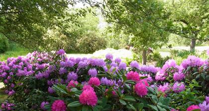 Elbtalauen,komfortables 4* Ferienhaus mit 2 separaten Wohnungen mit je 100 m²