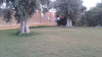 Terrein van de accommodatie