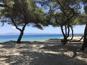 Ein Strand mit Bäumen und Blick auf das Meer.