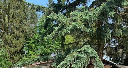 Kestävästi suunniteltu bungalow keskimääräistä korkeammalla varustuksella