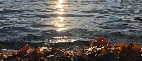 Un lac dont l’eau reflète la lumière du soleil, entouré de feuilles d’automne.