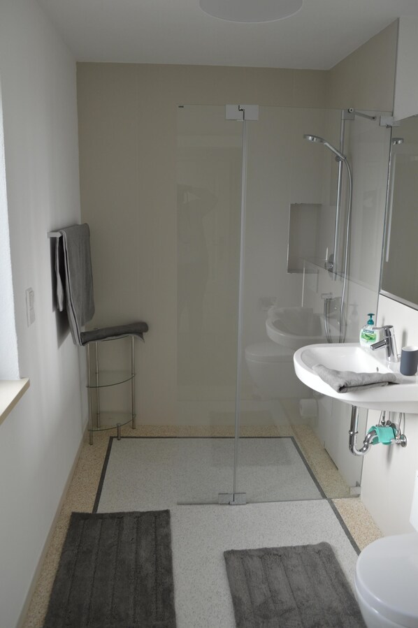 Shower, towels, soap, toilet paper