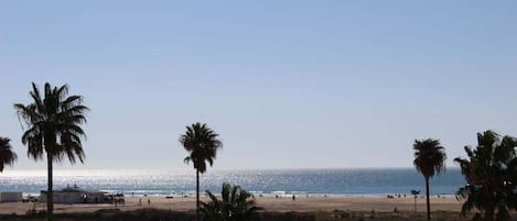 On the beach