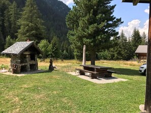 Escape to a serene cabin surrounded by a dense forest, with a picnic area and parking nearby.