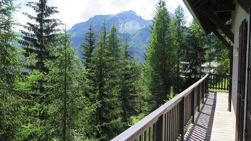 Chalet Pra loup Alpes du Sud