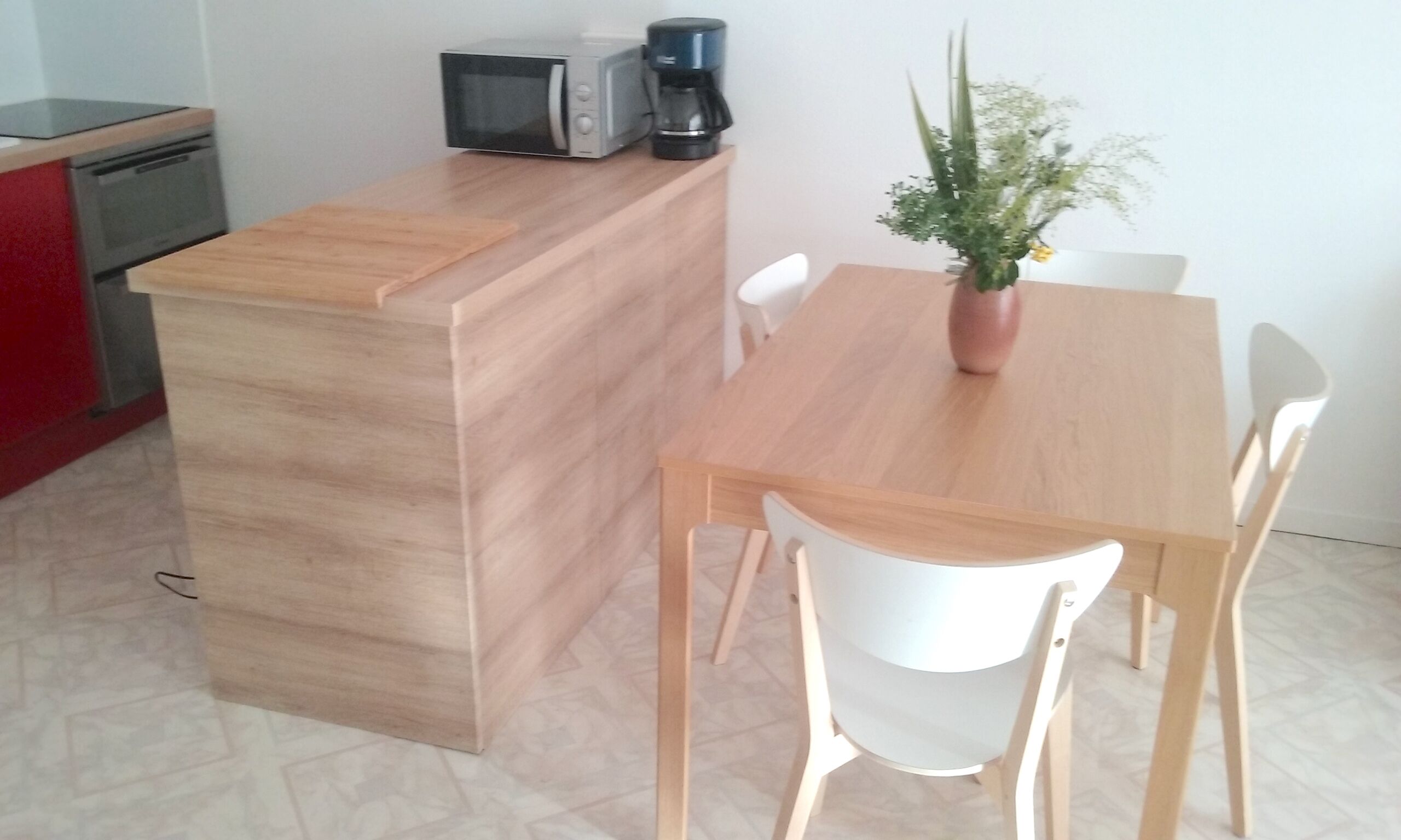 Una cuina compacta amb microones, cafetera i una planta en test sobre la taula.