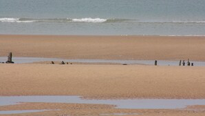Une plage avec un rivage sablonneux et quelques poteaux en bois.