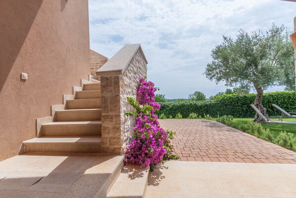 Parco della struttura