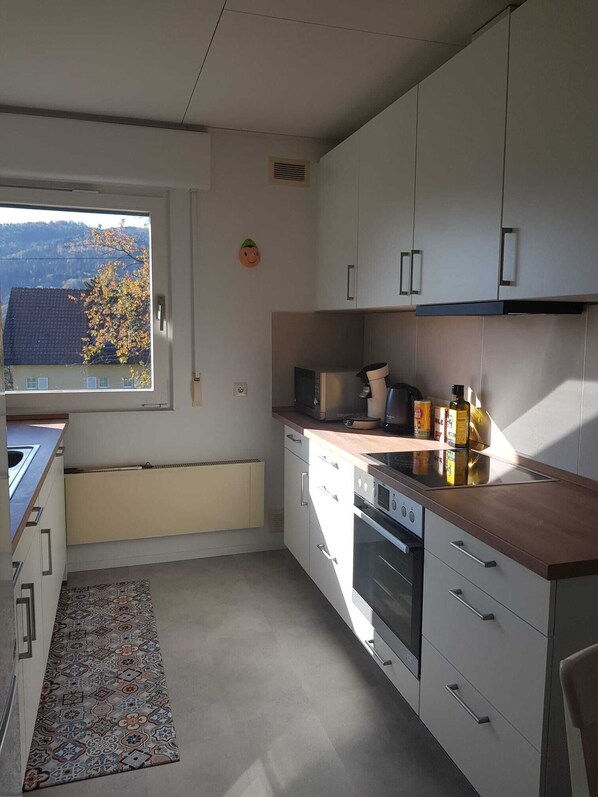Fridge, microwave, oven, stovetop - Detached house located on a plot of 7 acres with garden, terrace (Oberbruck)