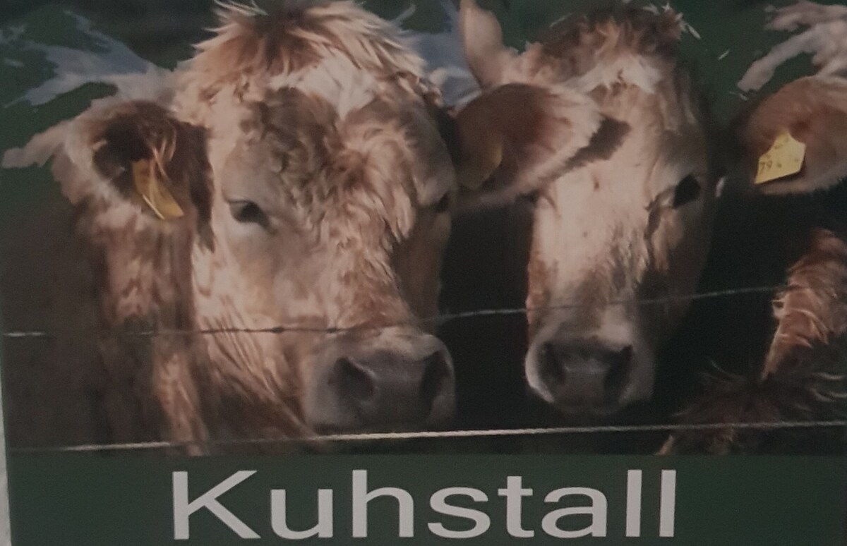 Värdens profilbild
