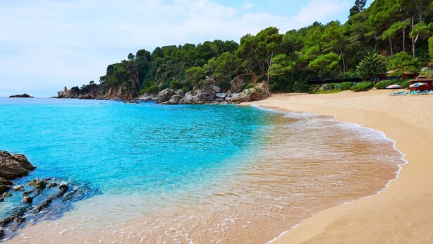 A beach with clear turquoise water, sandy shore, and a forested hillside.