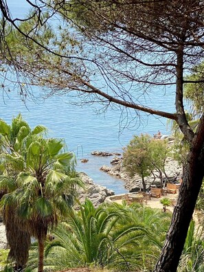 Paesaggio costiero con terreno roccioso, palme e vista sul mare.