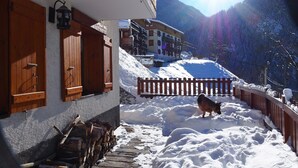 A snow-covered mountain path with a wooden fence, a horse, and buildings in the background. - T2 / 36M² FOR 5 PEOPLE 100M FROM THE MECHANICAL RIDGE IN THE HEART OF PARADISKI (Peisey-Nancroix)