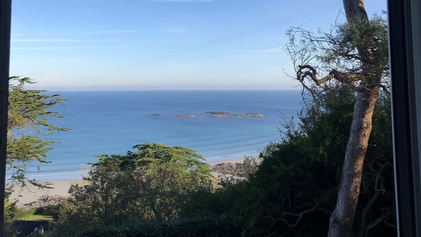 Vista costera desde una ventana, con cielo despejado, un árbol y una playa.