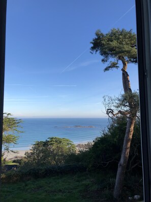 A coastal view from a window, featuring a clear sky, a tree, and a beach. - House "La Terrasse de Sophie" sea view in Plougasnou in Finistère (Plougasnou)