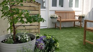 Un jardín con un banco de madera, una planta en maceta y un césped.
