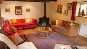 TV, fireplace, DVD player