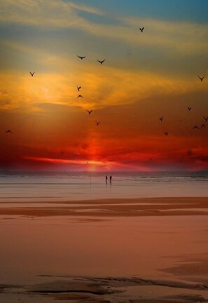 Playa en los alrededores y camastros 