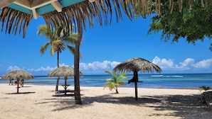 A beach with thatched umbrellas, palm trees, and a clear blue sky. - Anse des rochers - Studio Cashew (saint-françois)