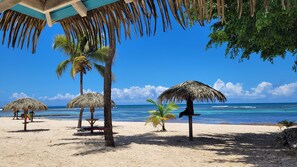 On the beach, sun-loungers, beach towels - Anse des rochers - Studio Cashew (saint-françois)
