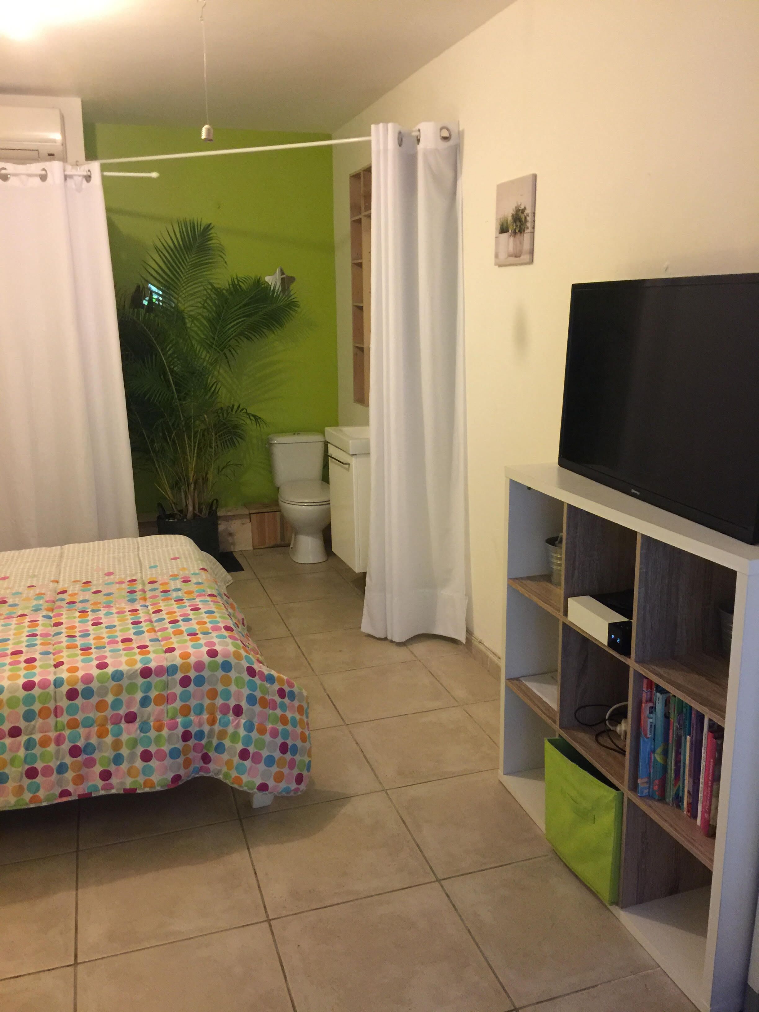 Un dormitori amb llit, televisió, prestatges, vàter i zona de dutxa.