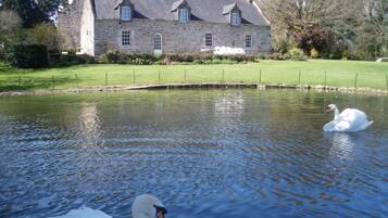 Terrein van de accommodatie