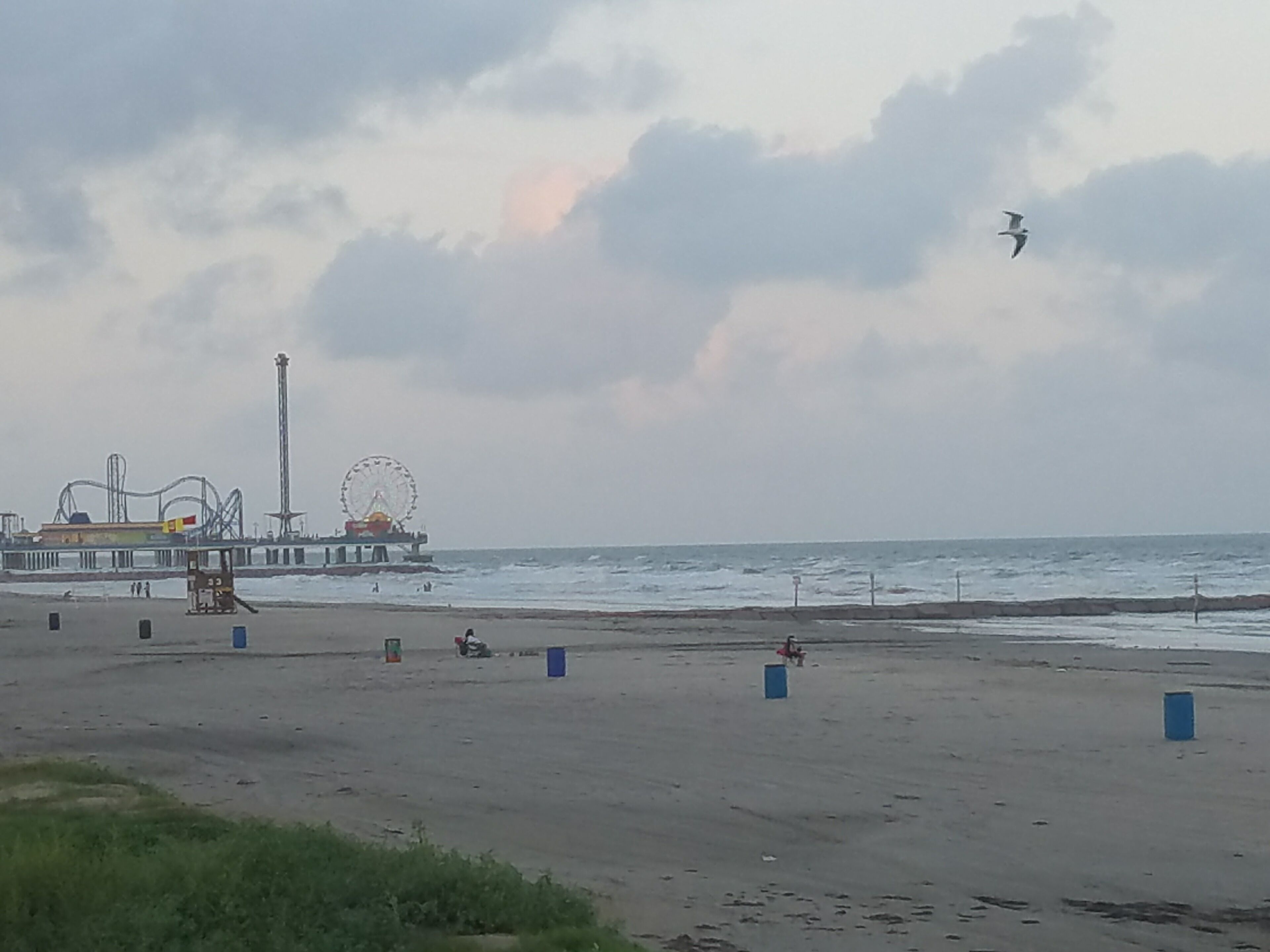 Plage à proximité, chaises longues, serviettes de plage