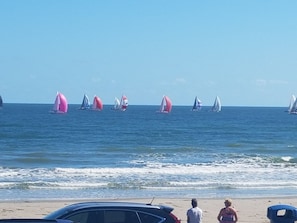 Plage à proximité, chaises longues, serviettes de plage