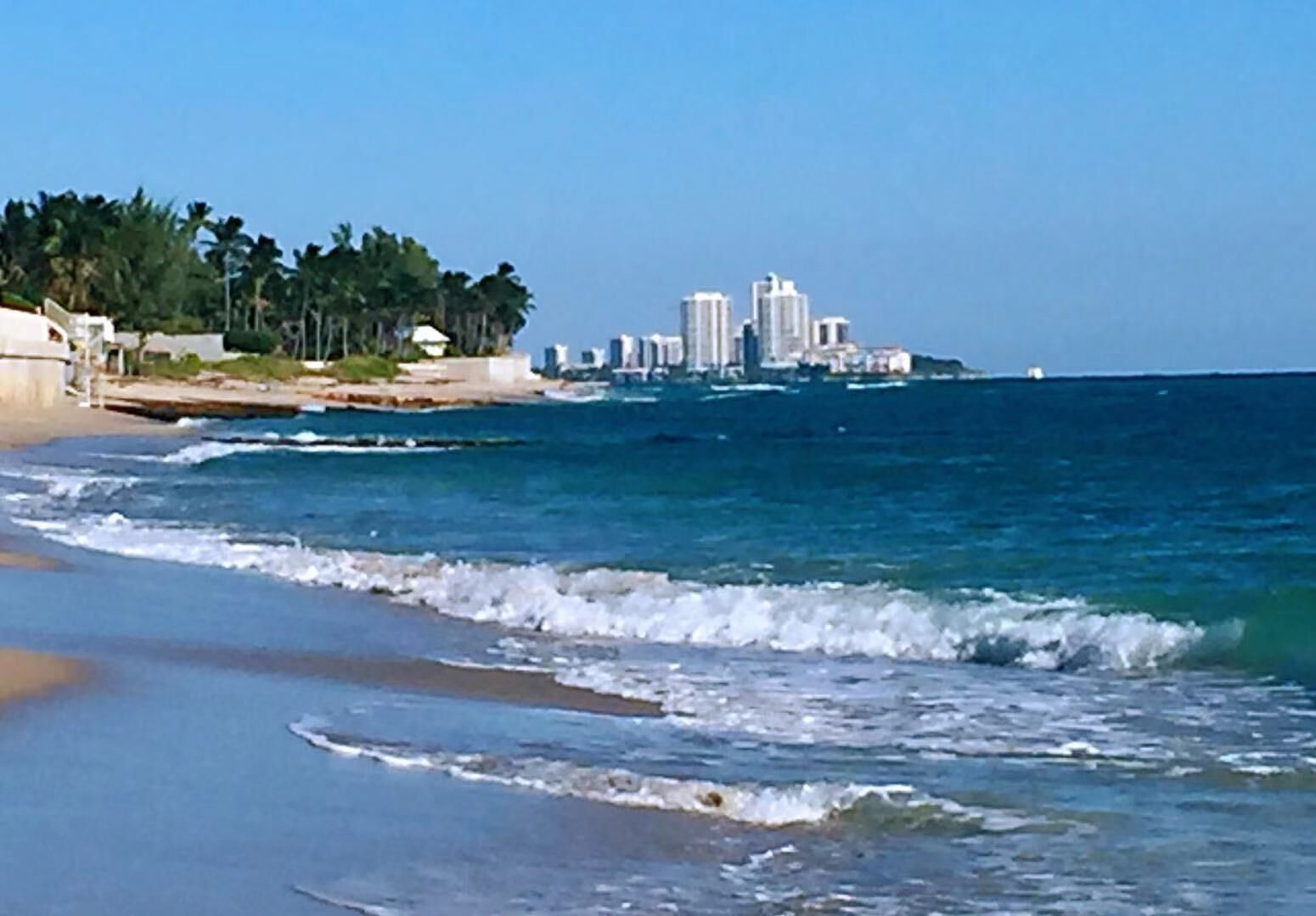 A beach with waves, a city skyline in the background, and palm trees.