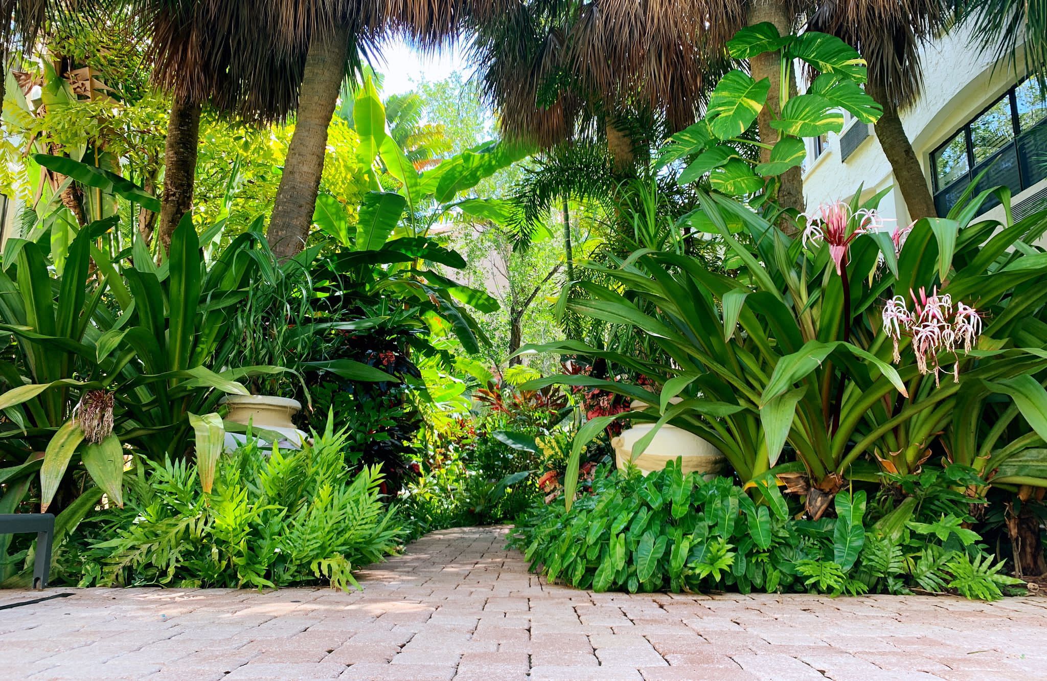 Jardines del alojamiento