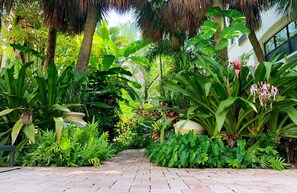 Enceinte de l’hébergement