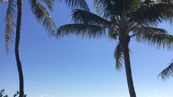 Beach nearby, sun loungers, beach towels