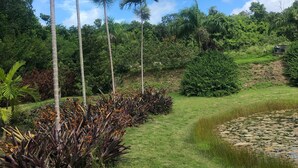 A lush garden with tall palm trees, a grassy path, and a pond with lily pads.