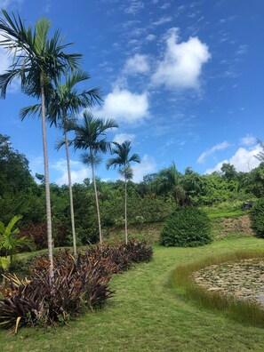 Áreas de la propiedad