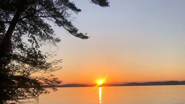 Un coucher de soleil sur un lac paisible, avec un arbre sur la gauche et une plage de sable au premier plan.