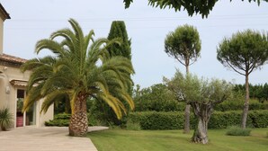 A well-maintained garden with a palm tree, a neatly trimmed hedge, and a stone pathway leading to a building with a tiled roof. - 360 m2 house (Meynes)