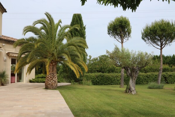 A well-maintained garden with a palm tree, a neatly trimmed hedge, and a stone pathway leading to a building with a tiled roof. - 360 m2 house (Meynes)