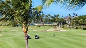 Ein Golfplatz mit Palmen, einem Wasserabschnitt und Häusern im Hintergrund.