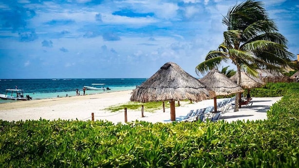 A beach with thatched umbrellas, lounge chairs, and a clear view of the ocean. - AQUA GUESTHOUSE 3~ STEPS FROM THE BEACH ~ POOL ~ A+ INTERNET (Puerto Morelos,)