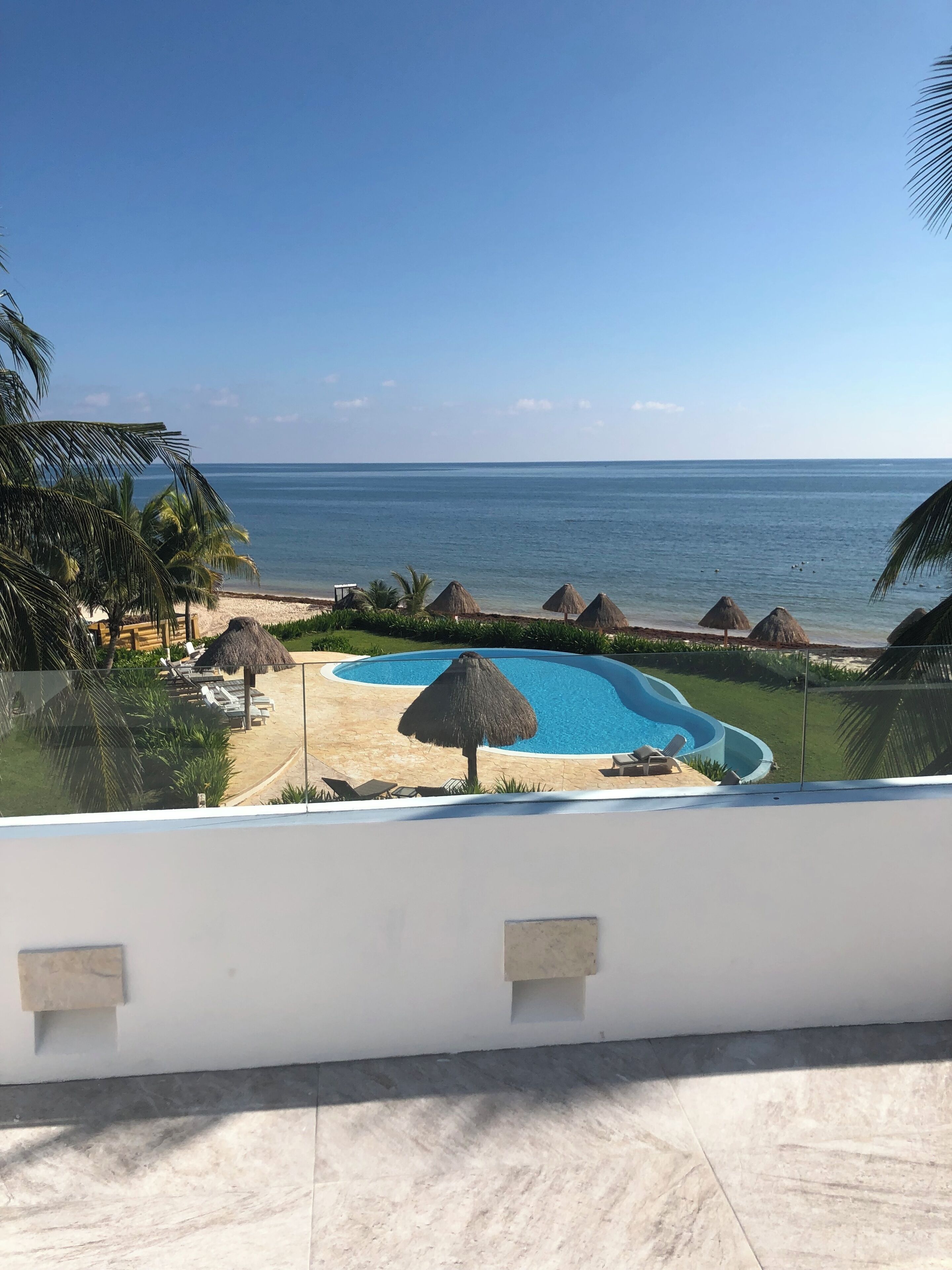 A pool area with a clear view of the ocean, surrounded by palm trees and thatched umbrellas.