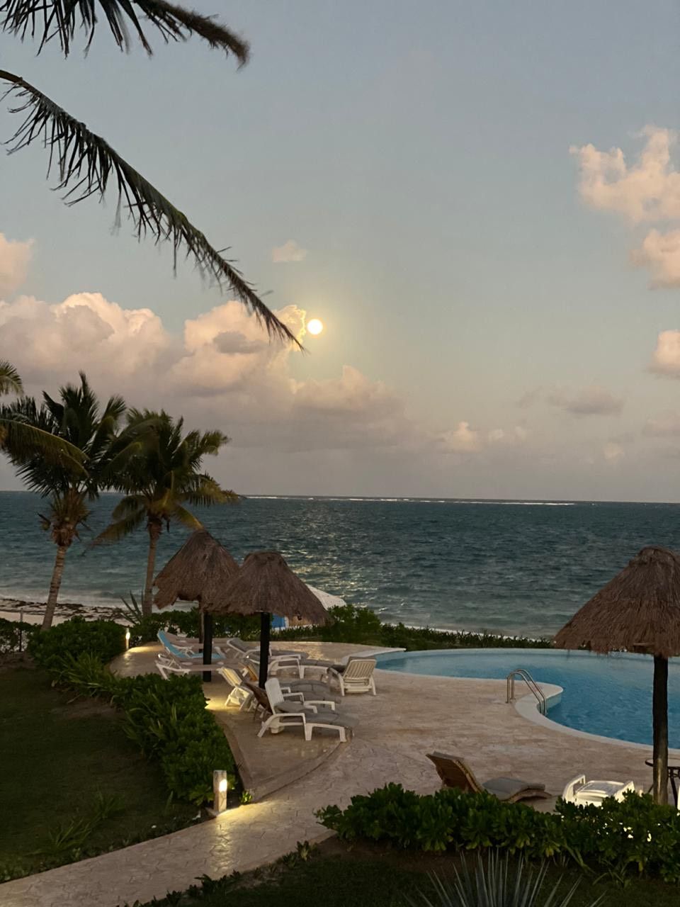 A poolside area with lounge chairs, a swimming pool, palm trees, and a view of the ocean.