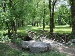 Property grounds - Enchanted Cabin-Seasonal View of Ouachita River (Pencil Bluff)