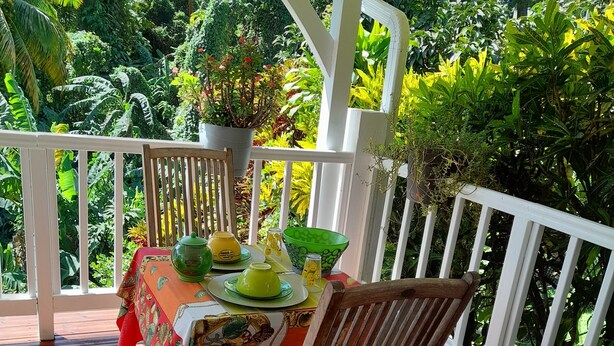 A wooden deck with a table set for dining, surrounded by lush tropical plants.