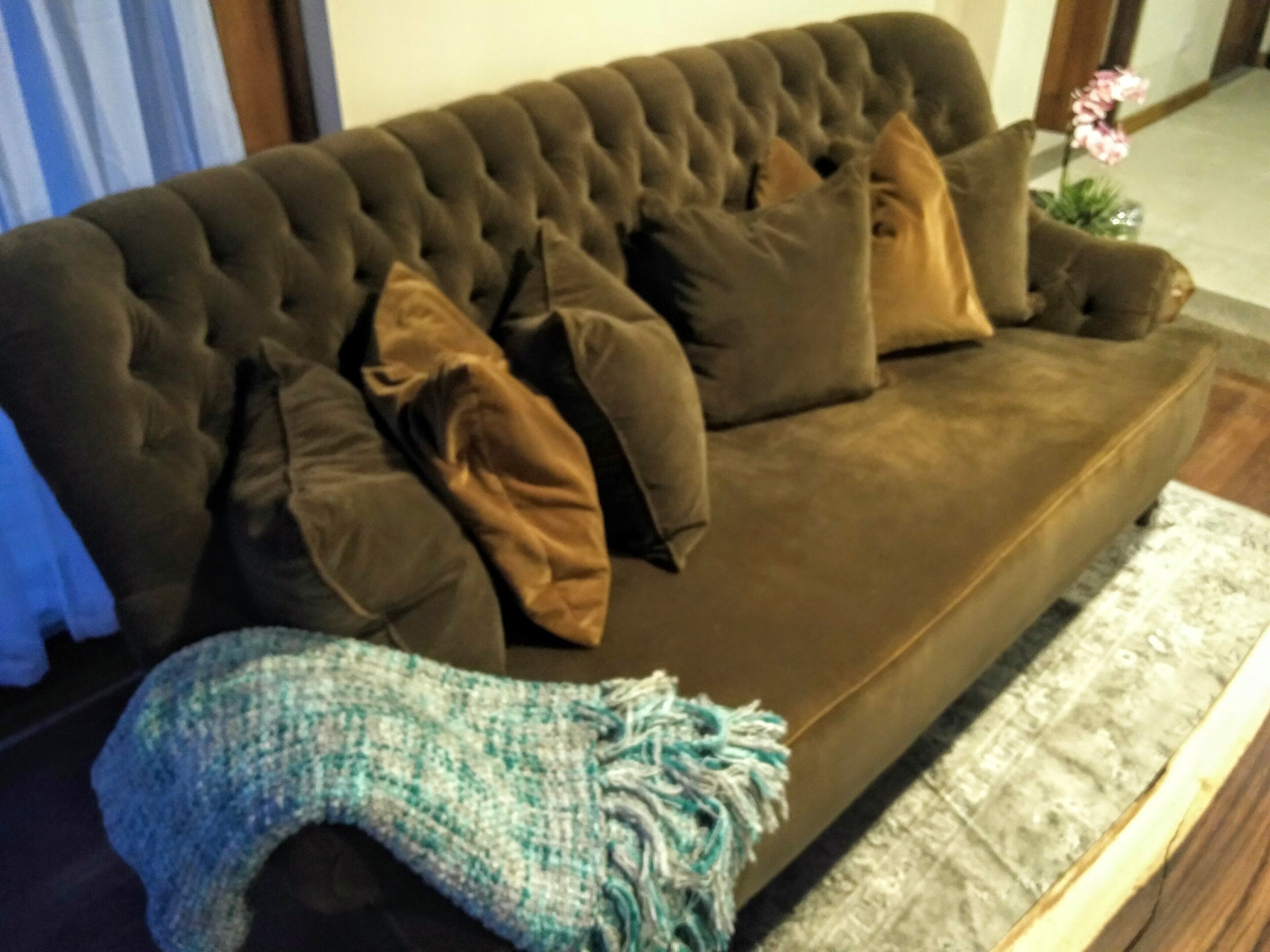 A brown tufted sofa with multiple cushions, a blue and white blanket, and a wooden floor.