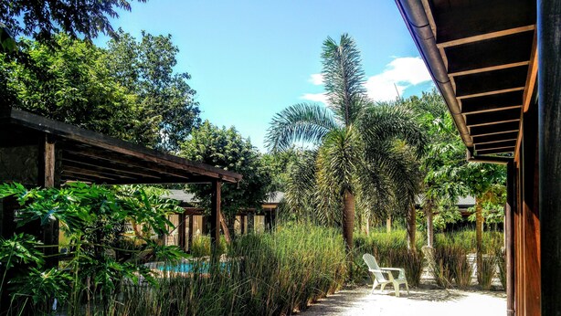 Un sentier mène à une structure en bois dotée d’une piscine, le tout étant entouré d’une végétation luxuriante et de grands palmiers.