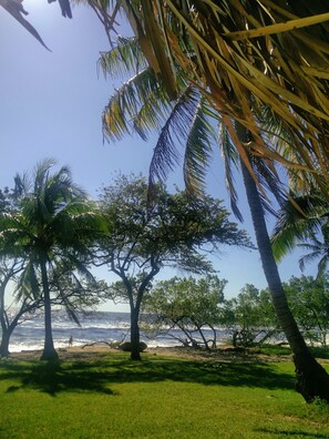 Perto da praia, toalhas de praia 
