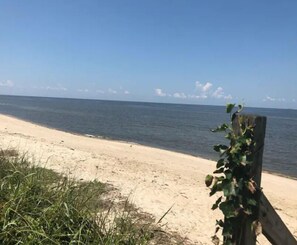 Playa en los alrededores y camastros 