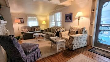 TV connectée, cheminée, lecteur de DVD, livres