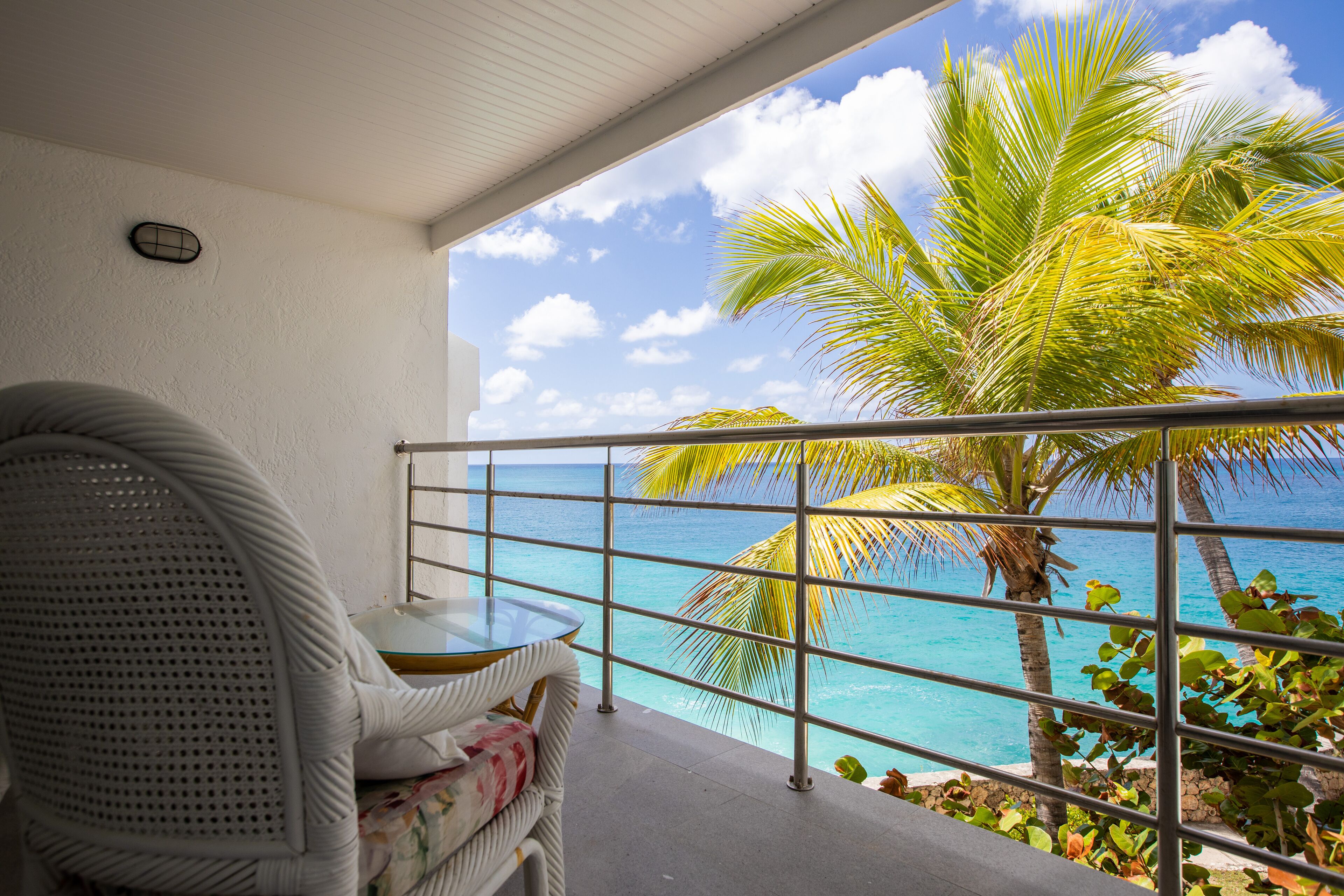 Een balkon met uitzicht op de oceaan en een palmboom.